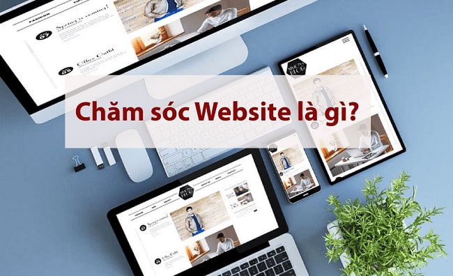 Hướng Dẫn Cách Chăm Sóc Website Hiệu Quả Năm 2021